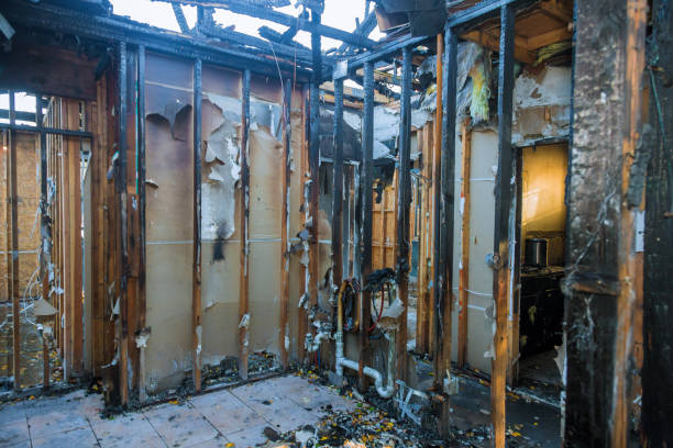Professional Fire Damage Removal technician working in Plano, KY